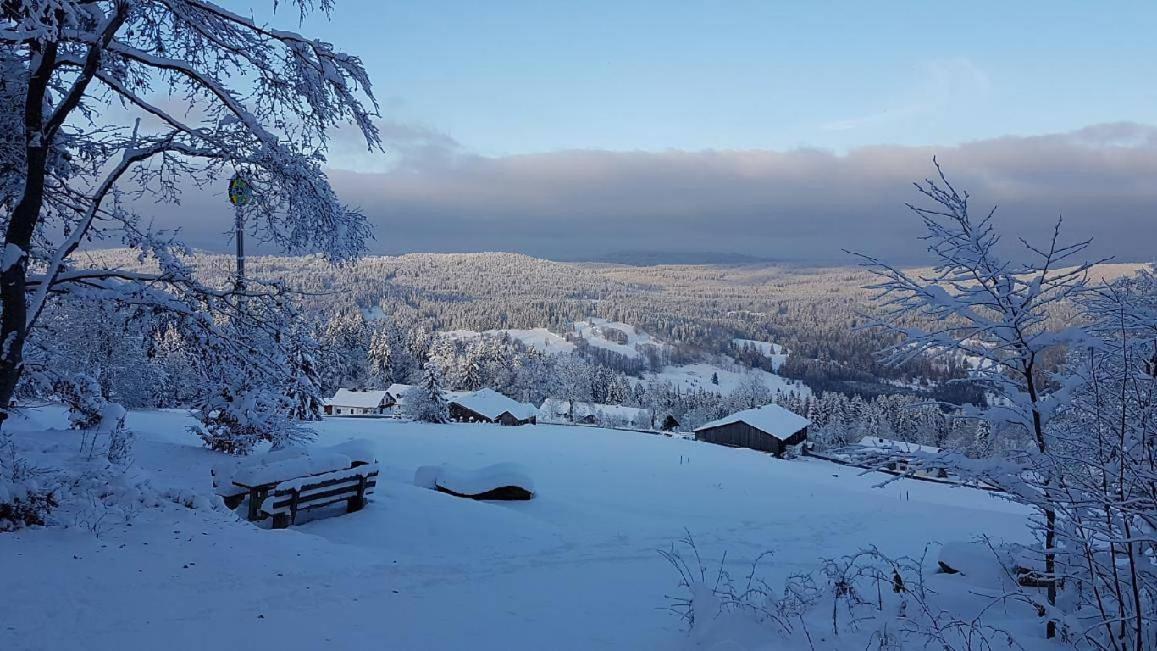Winterwohnung Almberg Apartment Mitterfirmiansreut