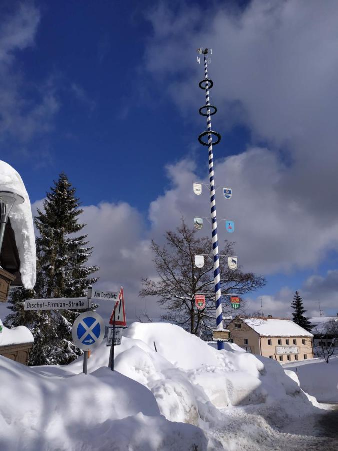 Winterwohnung Almberg Appartement